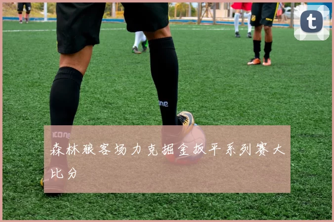 森林狼客场力克掘金扳平系列赛大比分