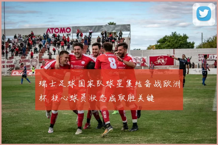 瑞士足球国家队球星集结备战欧洲杯 核心球员状态成取胜关键