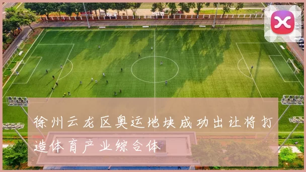 徐州云龙区奥运地块成功出让将打造体育产业综合体