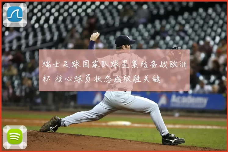 瑞士足球国家队球星集结备战欧洲杯 核心球员状态成取胜关键