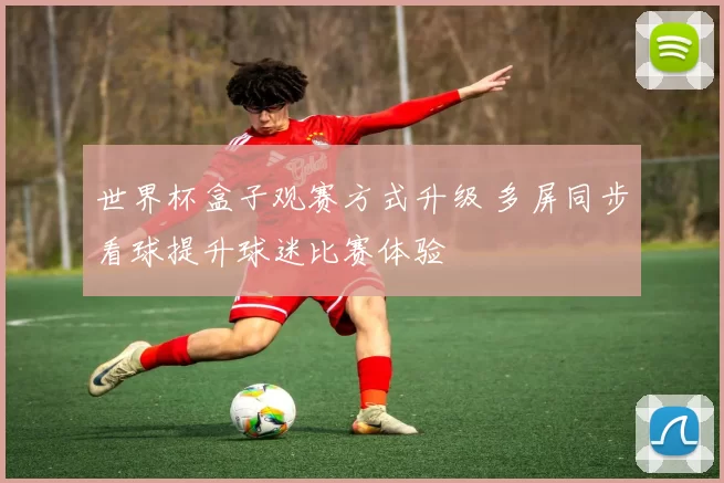 世界杯盒子观赛方式升级 多屏同步看球提升球迷比赛体验