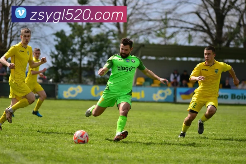 多媒体互动体验