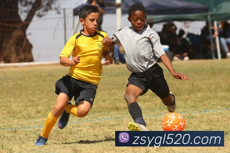 米兰(中国)milan·官方网站 - 登录入口APP 高清赛事图